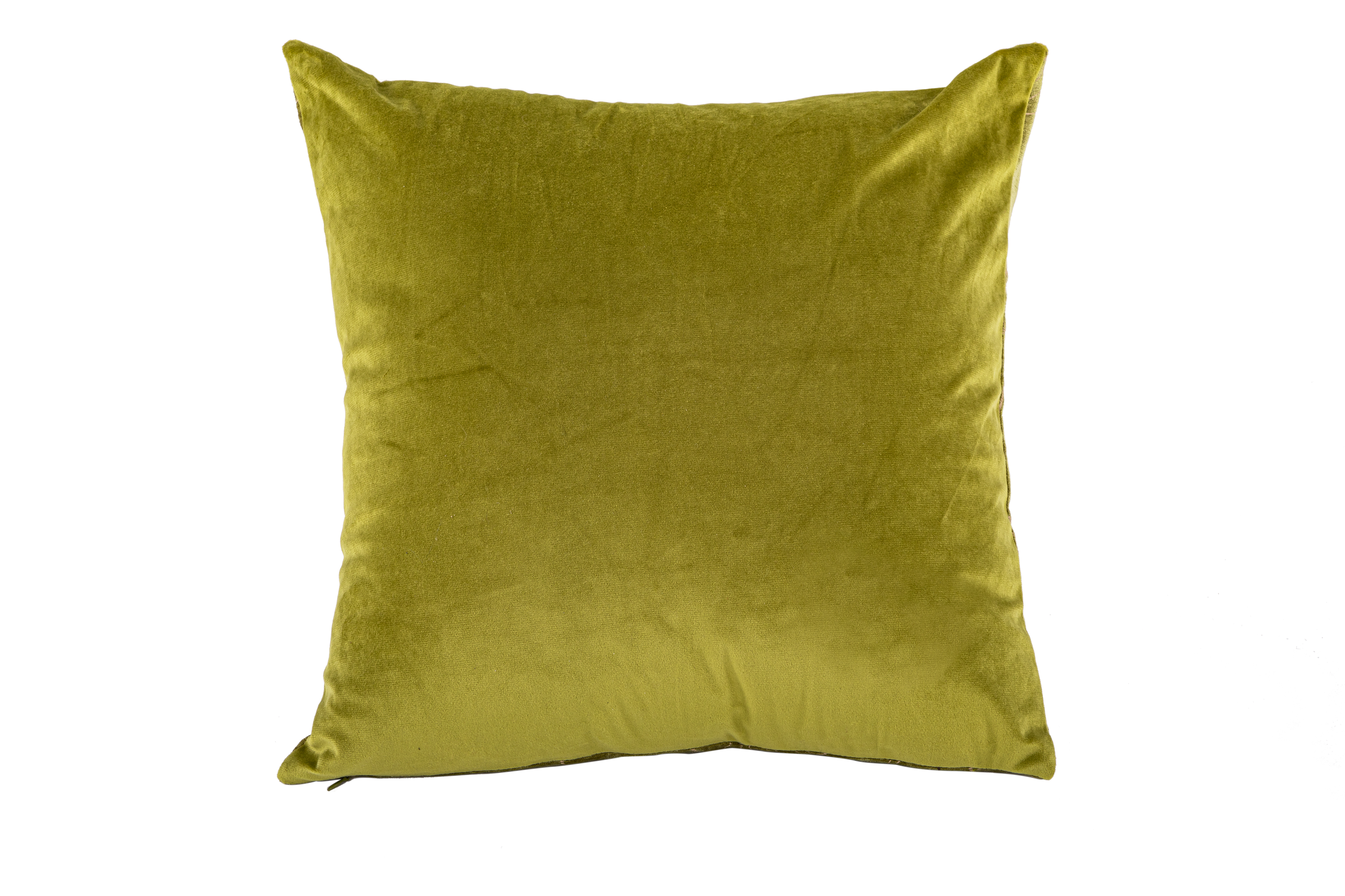 Cushion (filled) ANNA 44X44CM, dille