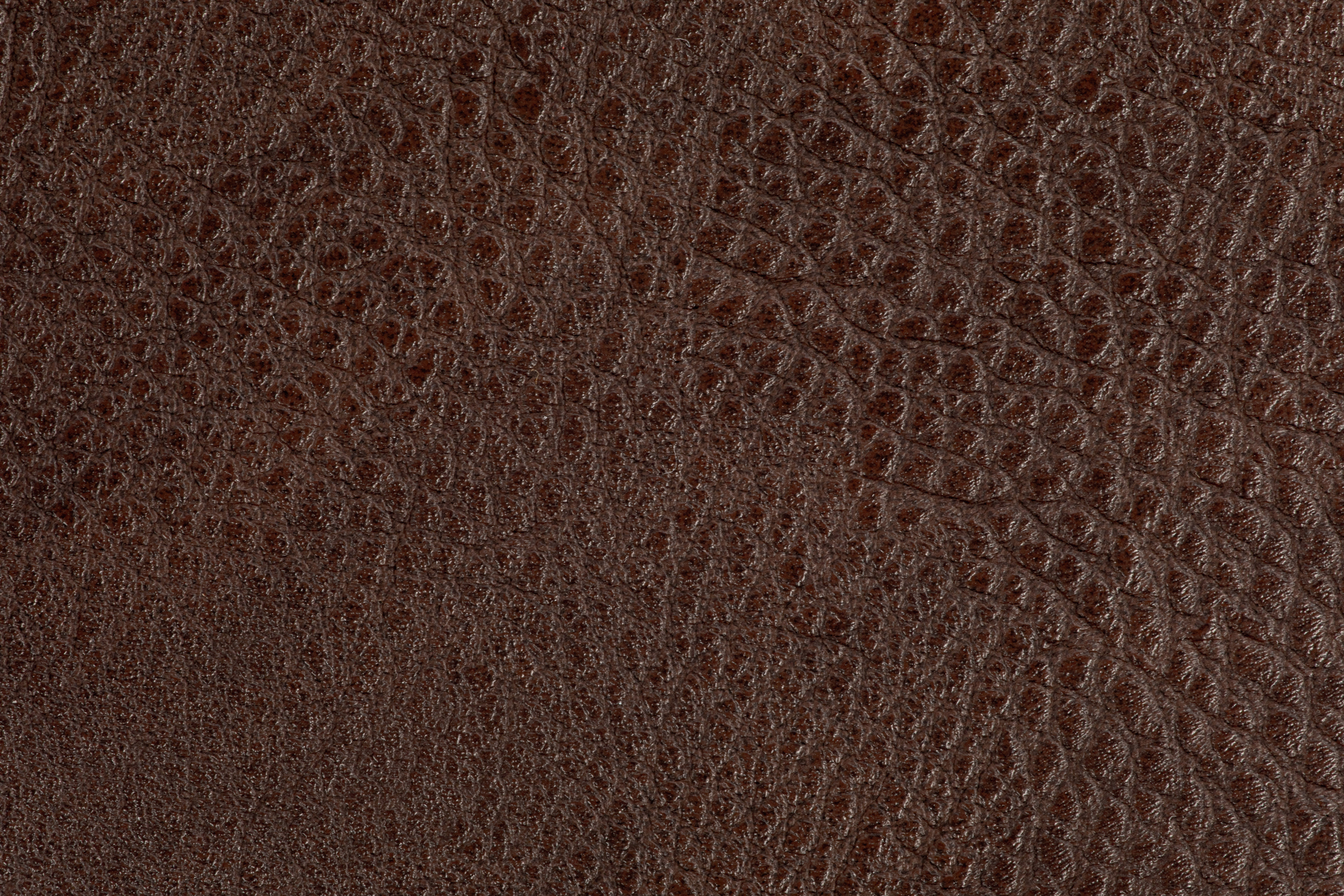 Dessous de verre TROJA – SET/4 – Dia 10 cm – Rond, brun foncé