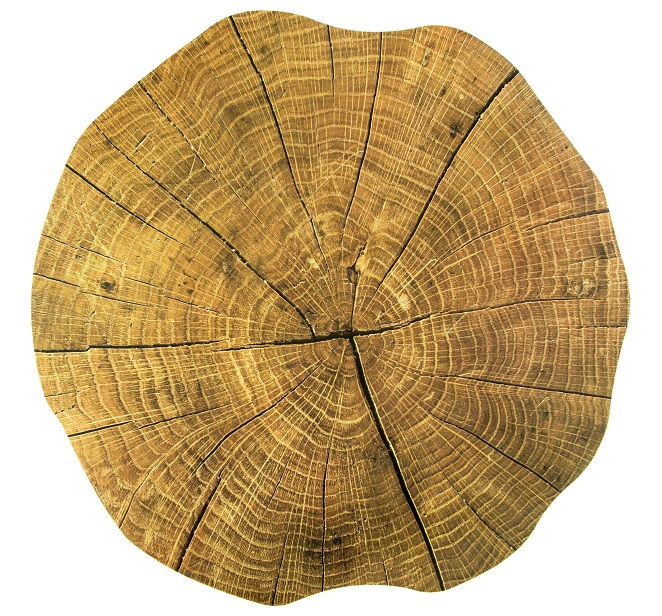 Placemat tree trunk 38 cm