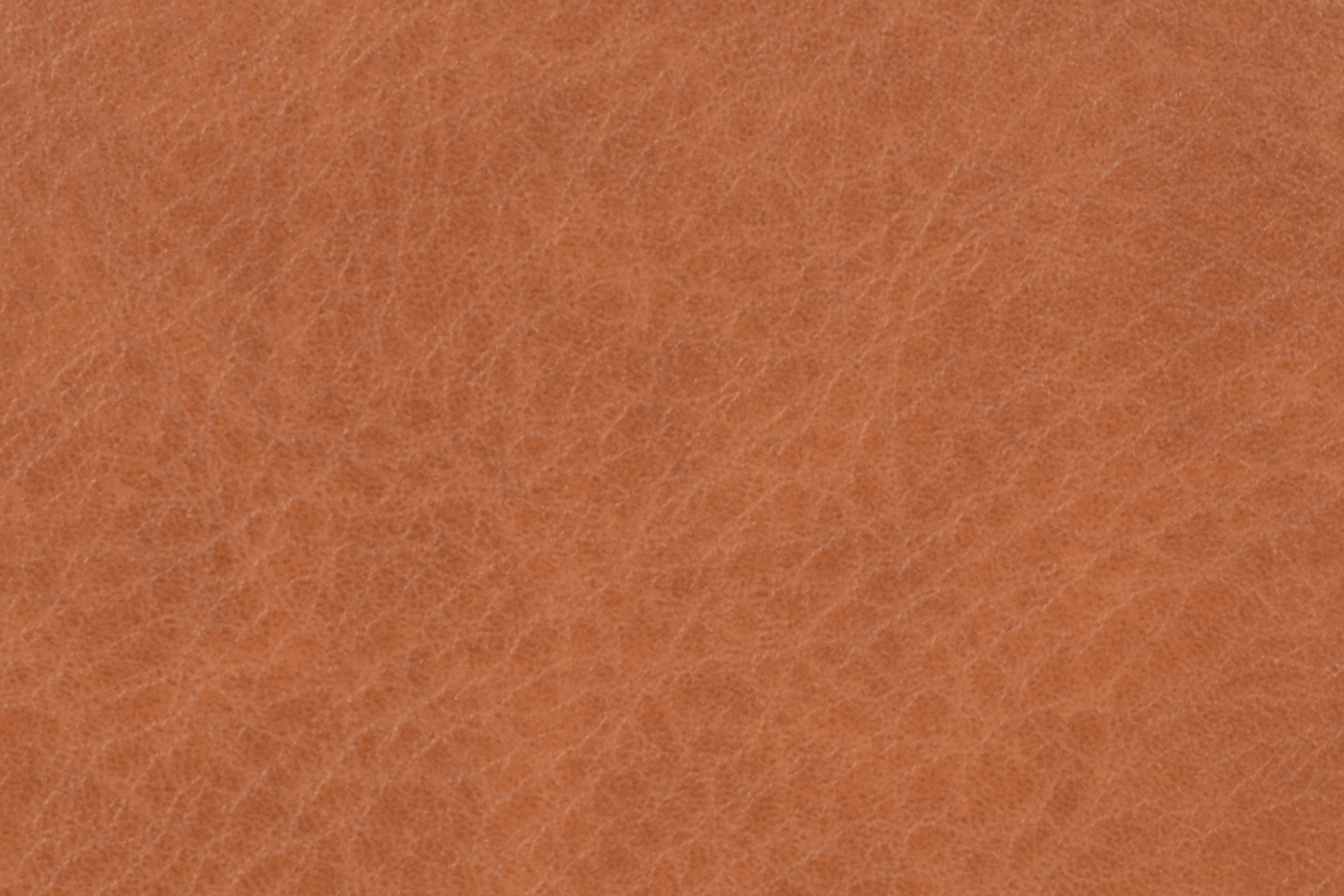 Dessous de verre TROJA – SET/4 – Dia 10 cm – Rond, caramel