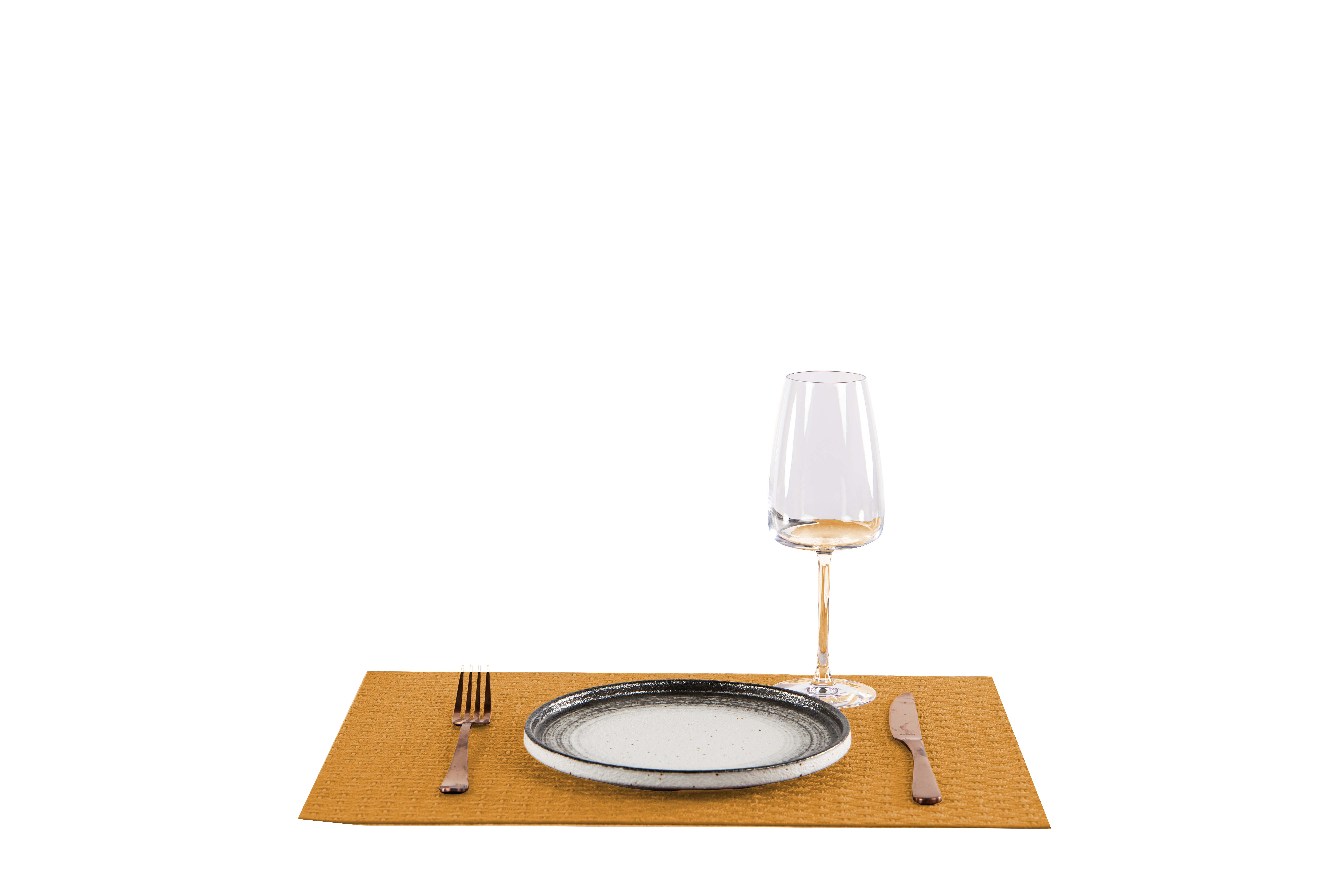 Set de table ARBIN - Leather look imitation - 45x33cm, taupe